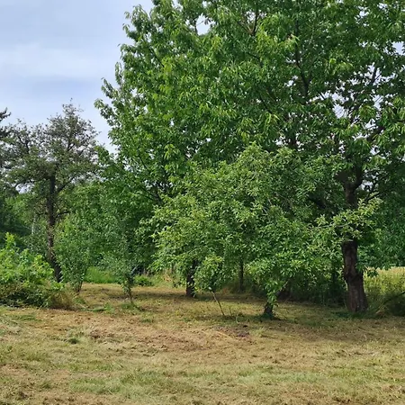 بيت للعطل Blockhaus An Der Dahme ,