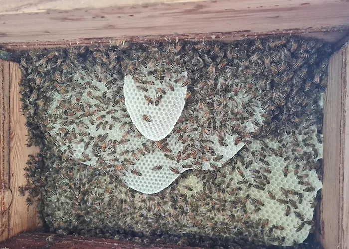 Blockhaus An Der Dahme , Сasa de vacaciones Halbe